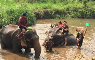 karen elephant camp, chiang mai elephant camp, local elephant camp in chiang mai