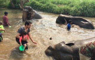 karen elephant camp, chiang mai elephant camp, local elephant camp in chiang mai