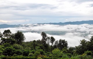 phu chi fa, phu chi fah, phu chee fa, phu chee fah, pu chi fa, pu chi fah