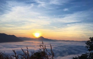 phu chi fa, phu chi fah, phu chee fa, phu chee fah, pu chi fa, pu chi fah