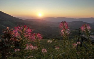 phu sawan resort, phu chi fa, phu chi fah, phu chee fa, phu chee fah