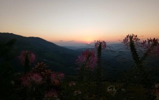 phu sawan resort, phu chi fa, phu chi fah, phu chee fa, phu chee fah