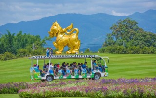 singha park, singha park chiang rai, rai boon rod chiang rai, singh park, singh park chiang rai