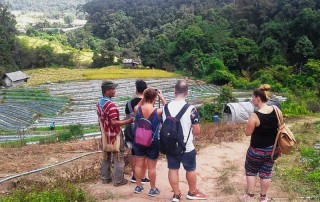 Baan Mae Klang Luang, hiking at doi inthanon, hiking at doi inthanon national park, trekking at doi inthanon, trekking at doi inthanon national park