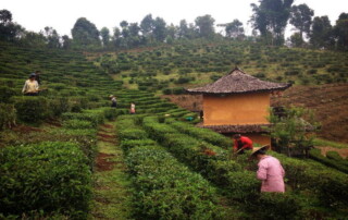 ban rak thai, rak thai village, baan rak thai