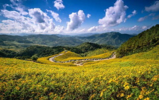 bua tong field at doi mae-u-kho, bua tong field at mae hong son, bua tong field, doi mae-u-kho, attractions in mae hong son