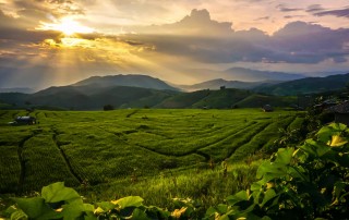 Navasoung Resort, Navasoung Resort Mae Jam, Navasoung Resort Mae Cham