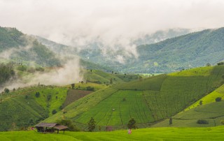 Navasoung Resort, Navasoung Resort Mae Jam, Navasoung Resort Mae Cham