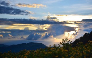 all highlights mae hong son loop tour, 4 days 3 nights all highlights mae hong son loop tour, 4 days all highlights mae hong son loop tour, all highlights chiang mai to mae hong son loop tour, bua tong field at doi mae-u-kho, bua tong field at mae hong son, bua tong field, doi mae-u-kho, attractions in mae hong son