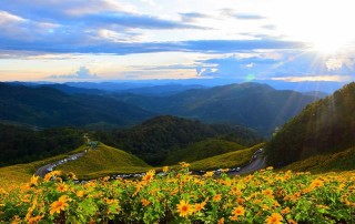 all highlights mae hong son loop tour, 4 days 3 nights all highlights mae hong son loop tour, 4 days all highlights mae hong son loop tour, all highlights chiang mai to mae hong son loop tour, bua tong field at doi mae-u-kho, bua tong field at mae hong son, bua tong field, doi mae-u-kho, attractions in mae hong son