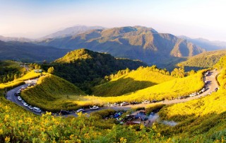 all highlights mae hong son loop tour, 4 days 3 nights all highlights mae hong son loop tour, 4 days all highlights mae hong son loop tour, all highlights chiang mai to mae hong son loop tour, bua tong field at doi mae-u-kho, bua tong field at mae hong son, bua tong field, doi mae-u-kho, attractions in mae hong son