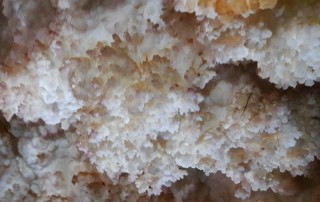 all highlights mae hong son loop tour, 4 days 3 nights all highlights mae hong son loop tour, 4 days all highlights mae hong son loop tour, all highlights chiang mai to mae hong son loop tour, tham kaew komol, kaew komol cave