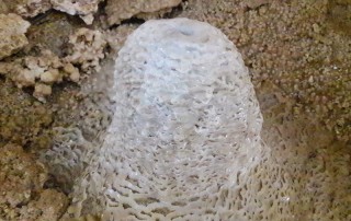 all highlights mae hong son loop tour, 4 days 3 nights all highlights mae hong son loop tour, 4 days all highlights mae hong son loop tour, all highlights chiang mai to mae hong son loop tour, tham kaew komol, kaew komol cave