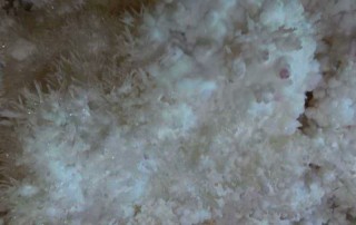 all highlights mae hong son loop tour, 4 days 3 nights all highlights mae hong son loop tour, 4 days all highlights mae hong son loop tour, all highlights chiang mai to mae hong son loop tour, tham kaew komol, kaew komol cave