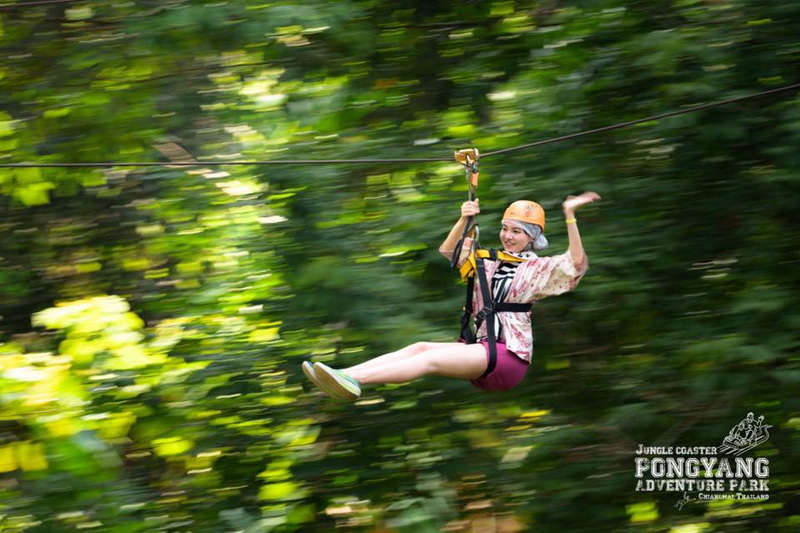 Zipline02 : Pongyang Jungle Coaster Zipline