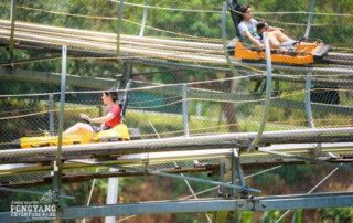 pongyang jungle coaster zipline, pongyang zipline, jungle coaster zipline, chiang mai zipline, zipline in chiang mai