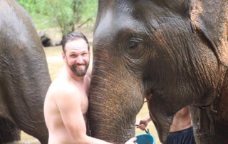 maetang elephant care program, chiang mai elephant care, chiang mai elephant volunteer, chiang mai elephant tour, maetang elephant care