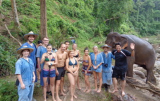 maetang elephant care program, chiang mai elephant care, chiang mai elephant volunteer, chiang mai elephant tour, maetang elephant care