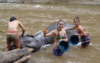 maetang elephant care program, chiang mai elephant care, chiang mai elephant volunteer, chiang mai elephant tour, maetang elephant care