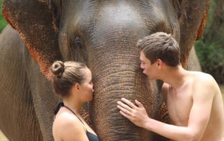 maetang elephant care program, chiang mai elephant care, chiang mai elephant volunteer, chiang mai elephant tour, maetang elephant care