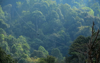 kingkong smile zipline, kingkong smile zipline chiang mai, kingkong zipline chiang mai, zipline chiang mai, longest zipline in chiang mai