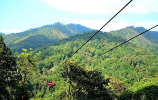 kingkong smile zipline, kingkong smile zipline chiang mai, kingkong zipline chiang mai, zipline chiang mai, longest zipline in chiang mai