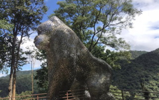 kingkong smile zipline, kingkong smile zipline chiang mai, kingkong zipline chiang mai, zipline chiang mai, longest zipline in chiang mai