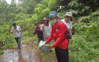 hiking doi chiang dao, doi chiang dao hiking, 1 day chiang mai trekking chiang dao area, 1 day chiang mai trekking chiang dao, chiang mai trekking chiang dao, trekking chiang dao, trekking chiang dao wildlife sanctuary, hiking chiang dao wildlife sanctuary, hiking chiang dao