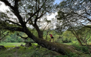 doi chiang dao hiking, 1 day chiang mai trekking chiang dao area, 1 day chiang mai trekking chiang dao, chiang mai trekking chiang dao, trekking chiang dao, trekking chiang dao wildlife sanctuary, hiking chiang dao wildlife sanctuary, hiking chiang dao