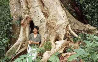 hiking doi chiang dao, doi chiang dao hiking, 1 day chiang mai trekking chiang dao area, 1 day chiang mai trekking chiang dao, chiang mai trekking chiang dao, trekking chiang dao, trekking chiang dao wildlife sanctuary, hiking chiang dao wildlife sanctuary, hiking chiang dao
