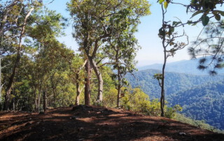 doi chiang dao hiking, 1 day chiang mai trekking chiang dao area, 1 day chiang mai trekking chiang dao, chiang mai trekking chiang dao, trekking chiang dao, trekking chiang dao wildlife sanctuary, hiking chiang dao wildlife sanctuary, hiking chiang dao