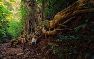 doi chiang dao hiking, 1 day chiang mai trekking chiang dao area, 1 day chiang mai trekking chiang dao, chiang mai trekking chiang dao, trekking chiang dao, trekking chiang dao wildlife sanctuary, hiking chiang dao wildlife sanctuary, hiking chiang dao