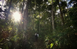 doi chiang dao hiking, 1 day chiang mai trekking chiang dao area, 1 day chiang mai trekking chiang dao, chiang mai trekking chiang dao, trekking chiang dao, trekking chiang dao wildlife sanctuary, hiking chiang dao wildlife sanctuary, hiking chiang dao