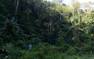 doi chiang dao hiking, 1 day chiang mai trekking chiang dao area, 1 day chiang mai trekking chiang dao, chiang mai trekking chiang dao, trekking chiang dao, trekking chiang dao wildlife sanctuary, hiking chiang dao wildlife sanctuary, hiking chiang dao