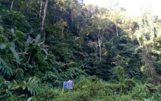 hiking doi chiang dao, doi chiang dao hiking, 1 day chiang mai trekking chiang dao area, 1 day chiang mai trekking chiang dao, chiang mai trekking chiang dao, trekking chiang dao, trekking chiang dao wildlife sanctuary, hiking chiang dao wildlife sanctuary, hiking chiang dao