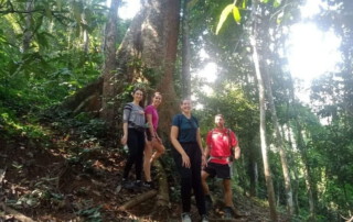 hiking doi chiang dao, doi chiang dao hiking, 1 day chiang mai trekking chiang dao area, 1 day chiang mai trekking chiang dao, chiang mai trekking chiang dao, trekking chiang dao, trekking chiang dao wildlife sanctuary, hiking chiang dao wildlife sanctuary, hiking chiang dao