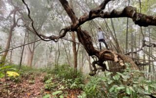 hiking doi chiang dao, doi chiang dao hiking, 1 day chiang mai trekking chiang dao area, 1 day chiang mai trekking chiang dao, chiang mai trekking chiang dao, trekking chiang dao, trekking chiang dao wildlife sanctuary, hiking chiang dao wildlife sanctuary, hiking chiang dao