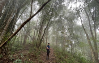 hiking doi chiang dao, doi chiang dao hiking, 1 day chiang mai trekking chiang dao area, 1 day chiang mai trekking chiang dao, chiang mai trekking chiang dao, trekking chiang dao, trekking chiang dao wildlife sanctuary, hiking chiang dao wildlife sanctuary, hiking chiang dao