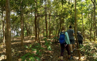 hiking doi chiang dao, doi chiang dao hiking, 1 day chiang mai trekking chiang dao area, 1 day chiang mai trekking chiang dao, chiang mai trekking chiang dao, trekking chiang dao, trekking chiang dao wildlife sanctuary, hiking chiang dao wildlife sanctuary, hiking chiang dao