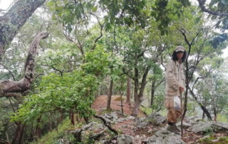 hiking doi chiang dao, doi chiang dao hiking, 1 day chiang mai trekking chiang dao area, 1 day chiang mai trekking chiang dao, chiang mai trekking chiang dao, trekking chiang dao, trekking chiang dao wildlife sanctuary, hiking chiang dao wildlife sanctuary, hiking chiang dao