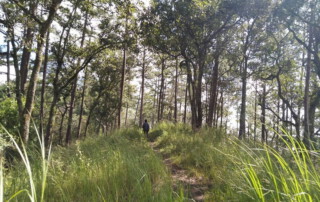 hiking doi chiang dao, doi chiang dao hiking, 1 day chiang mai trekking chiang dao area, 1 day chiang mai trekking chiang dao, chiang mai trekking chiang dao, trekking chiang dao, trekking chiang dao wildlife sanctuary, hiking chiang dao wildlife sanctuary, hiking chiang dao