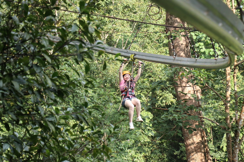 Zipline05 : Jungle Flight Zipline