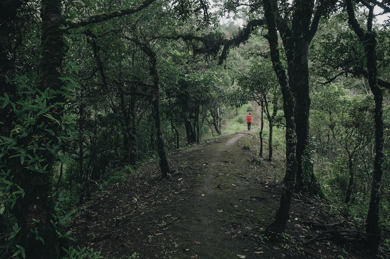 Doi Pha Ngam or Two Seasons Cliff