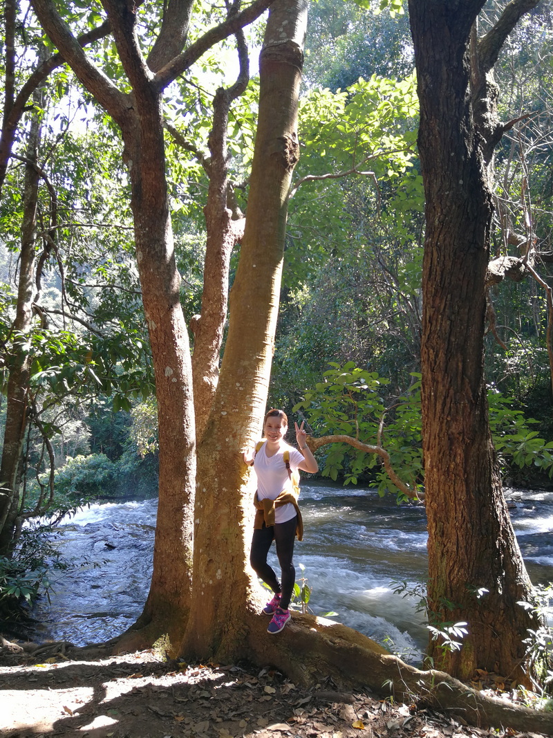 hiking pha dok siew nature trail, pha dok siew nature trail, trekking baan mae klang luang, baan mae klang luang, trekking pha dok siew, hiking pha dok siew hiking pha dok siew nature trail, pha dok siew nature trail, trekking baan mae klang luang, baan mae klang luang, trekking pha dok siew, hiking pha dok siew