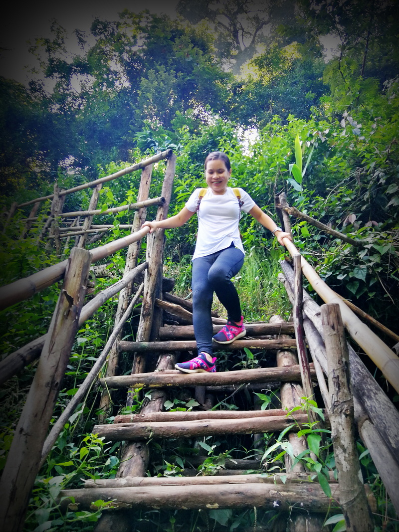 hiking pha dok siew nature trail, pha dok siew nature trail, trekking baan mae klang luang, baan mae klang luang, trekking pha dok siew, hiking pha dok siew hiking pha dok siew nature trail, pha dok siew nature trail, trekking baan mae klang luang, baan mae klang luang, trekking pha dok siew, hiking pha dok siew