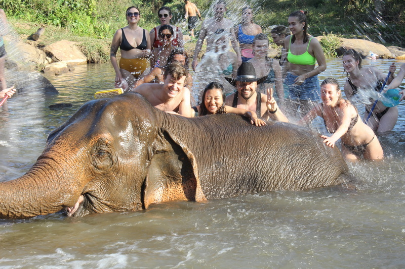 Elephant02 : Elephant Jungle Sanctuary