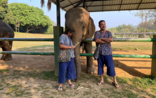 elephant care at kanta elephant sanctuary, kanta elephant sanctuary, elephant tour at kanta elephant sanctuary, elephant programs at kanta elephant sanctuary, kanta elephant sanctuary