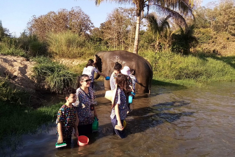 Elephant01 : Kanta Elephant Sanctuary